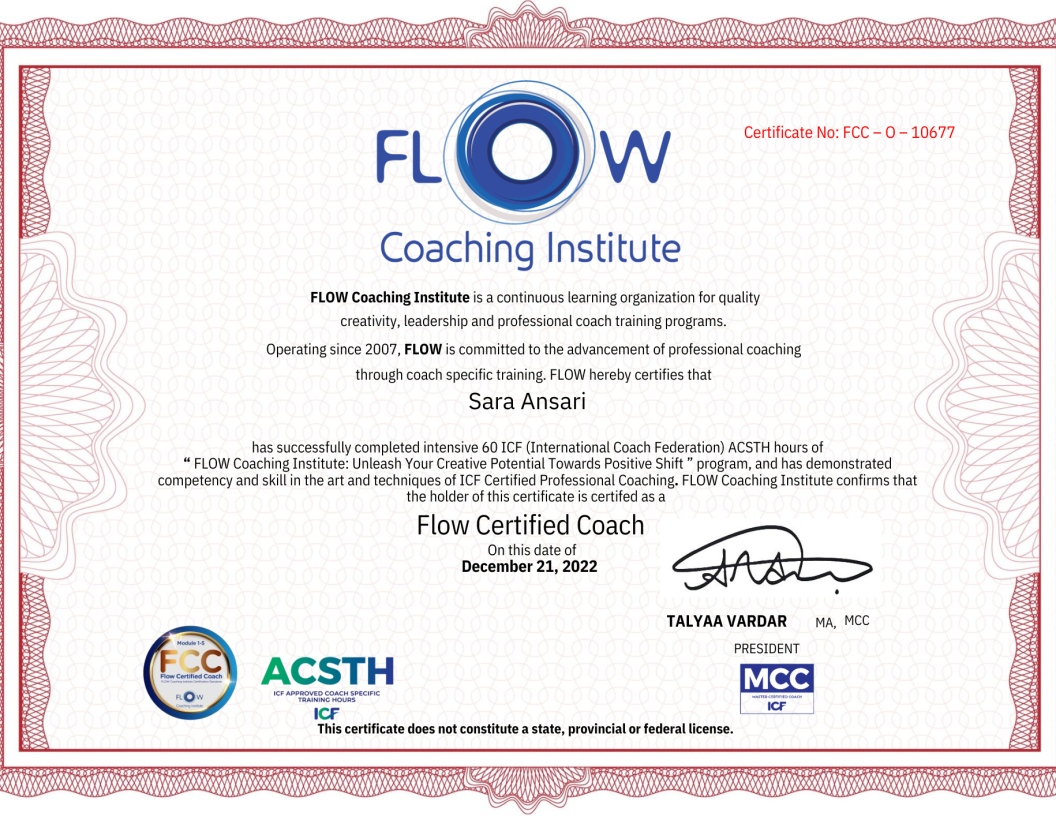 FLOW-SaraAnsari.pdf